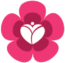 Blossoms ERP